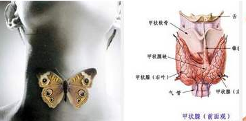 QQ截图20200720140138.png
