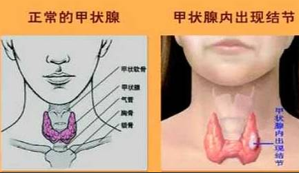QQ截图20200724133959.png